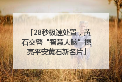 28秒极速处置，黄石交警“智慧大脑”擦亮平安黄石新名片