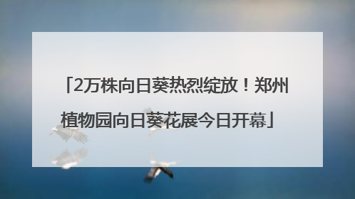 2万株向日葵热烈绽放！郑州植物园向日葵花展今日开幕