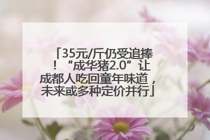 35元/斤仍受追捧！“成华猪2.0”让成都人吃回童年味道，未来或多种定价并行