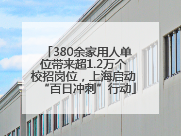 380余家用人单位带来超1.2万个校招岗位，上海启动“百日冲刺”行动