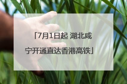 7月1日起 湖北咸宁开通直达香港高铁