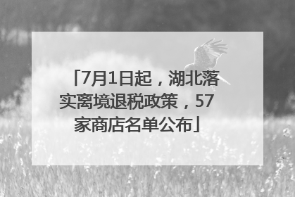 7月1日起，湖北落实离境退税政策，57家商店名单公布