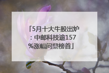 5月十大牛股出炉：中邮科技逾157%涨幅问鼎榜首