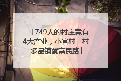 749人的村庄竟有4大产业，小官村一村多品铺就富民路