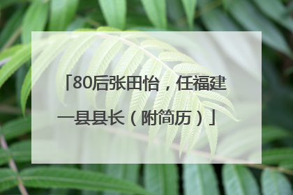 80后张田怡，任福建一县县长（附简历）