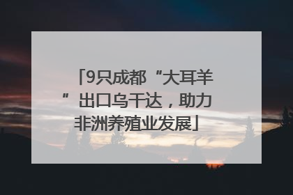 9只成都“大耳羊”出口乌干达，助力非洲养殖业发展