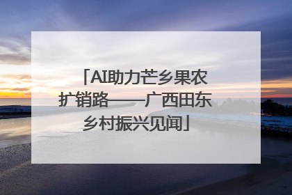 AI助力芒乡果农扩销路——广西田东乡村振兴见闻