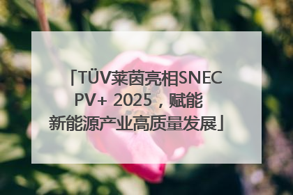 TÜV莱茵亮相SNEC PV+ 2025，赋能新能源产业高质量发展